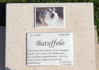 A Terni nasce il cimitero degli animali, quanto costerà e regole