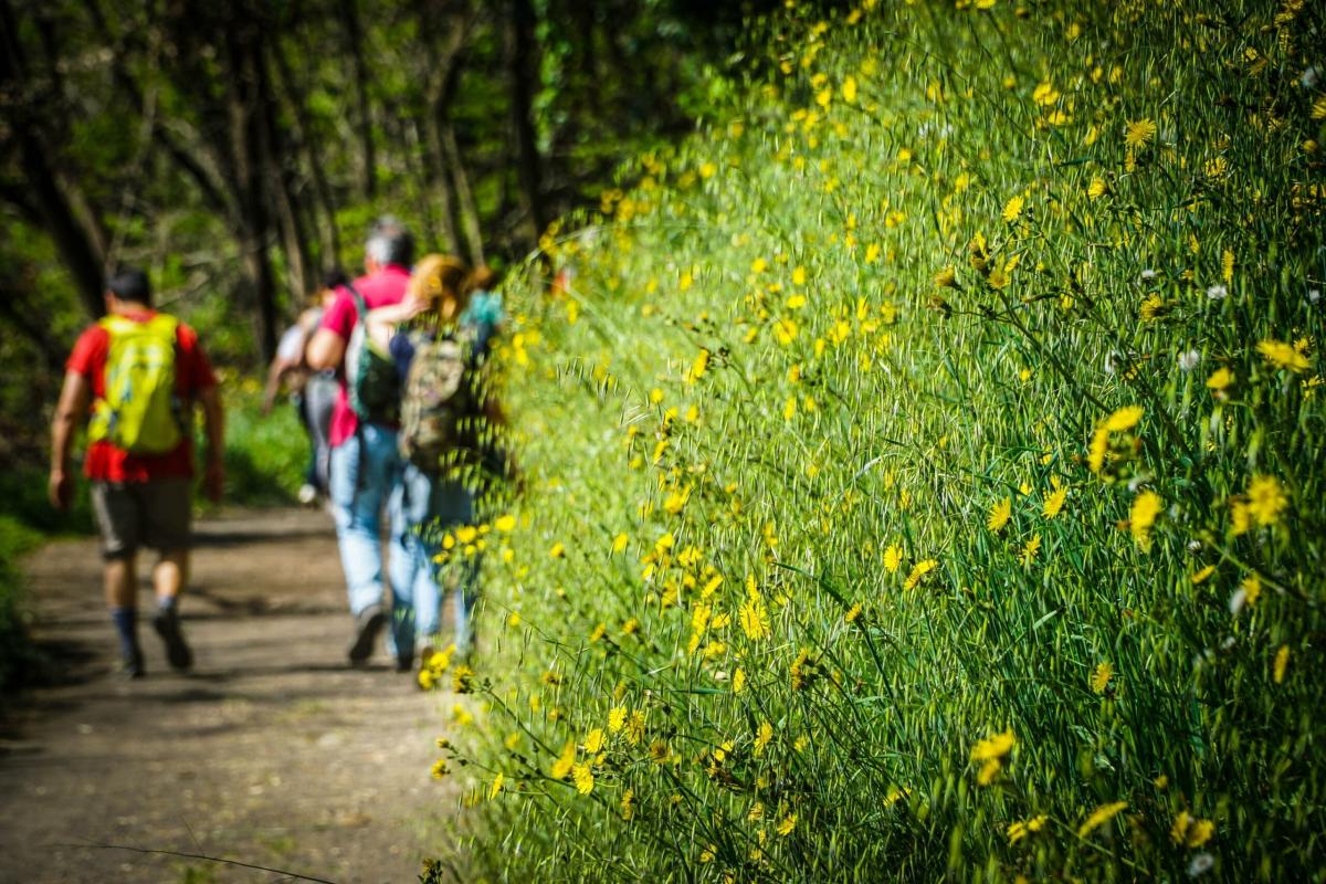 Umbria, aria più pulita: ecco i dati di Arpa sul 2023