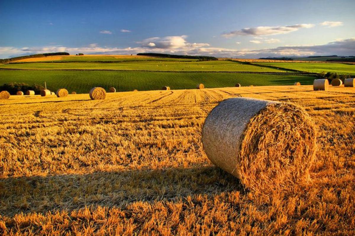 Agricoltura e ambiente, l’assessora Meloni parte da Città di Castello