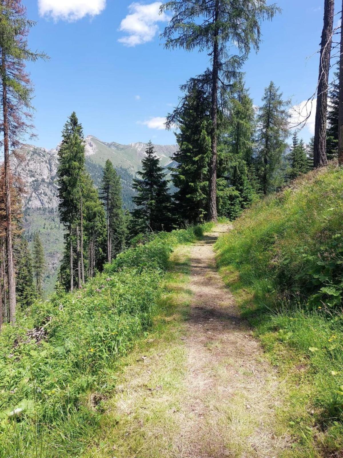 Foligno, Parco dell’Altolina si rinnova grazie ai fondi del Psr: una culla di biodiversità