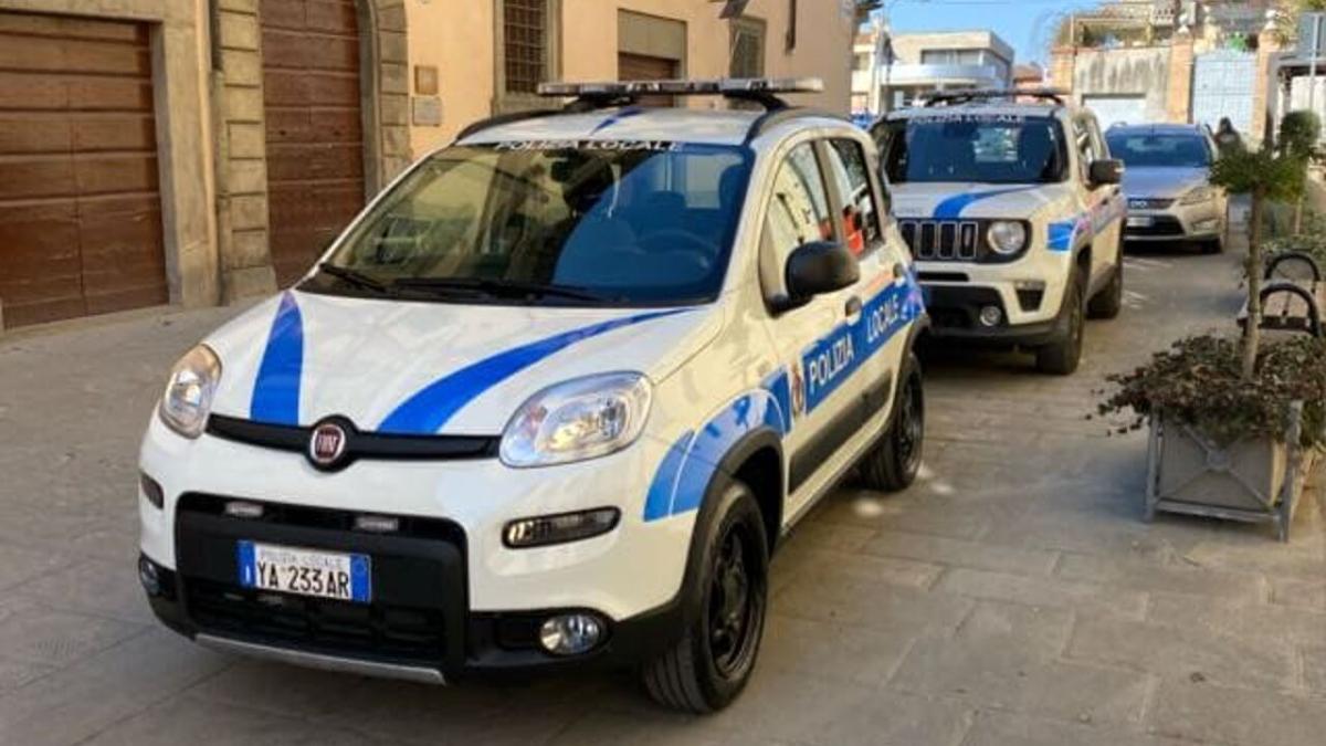 Città di Castello, investe cane e scappa: denunciato per “uccisione di animali”