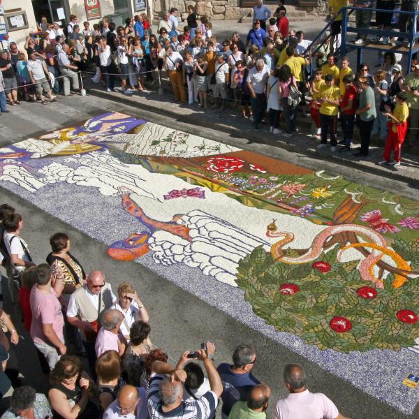 Le infiorate di Spello protagoniste del calendario fotografico “Maestri del petalo 2025” di Gianni Donati
