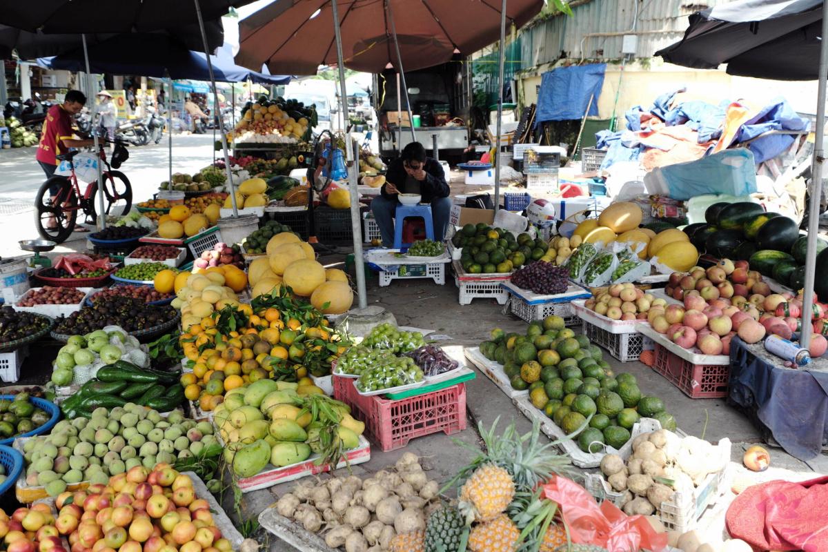 Il fascino della frutta esotica e rara: la storia di Semetella a Nocera Umbra